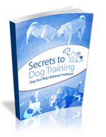 Click here to visit Secrets to Dog Training